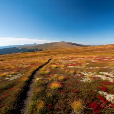 Imagen PNG para descargar